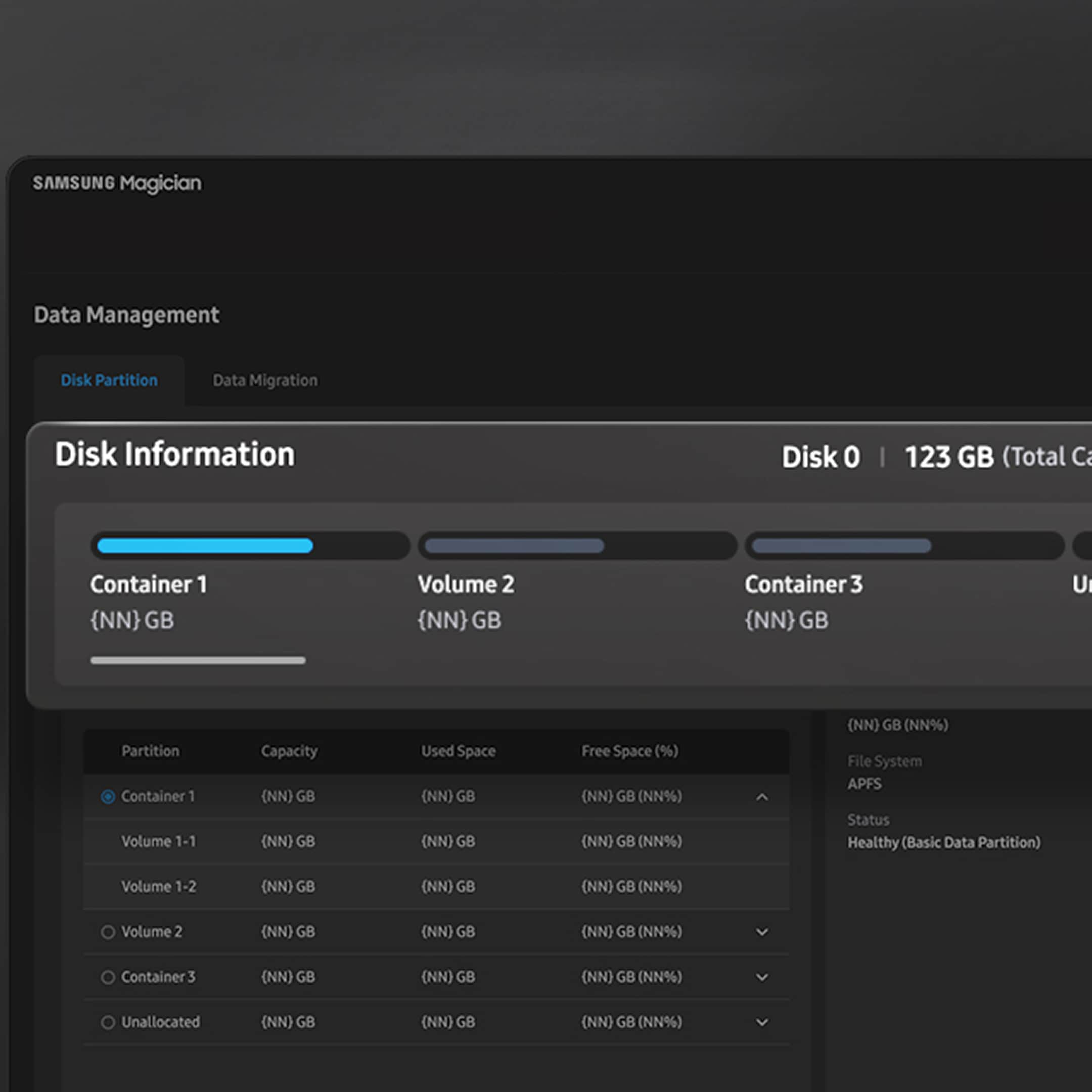 Disk Partition view in Magician, with Disk 0 split into Container 1, Volume 2, and Container 3.